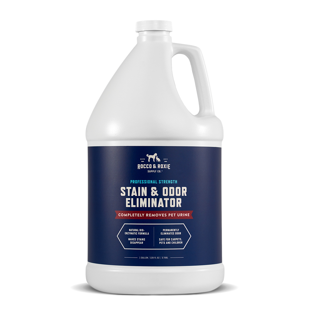 Stain & Odor Eliminator